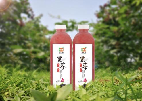 黑莓果肉饮料1L*4瓶/箱